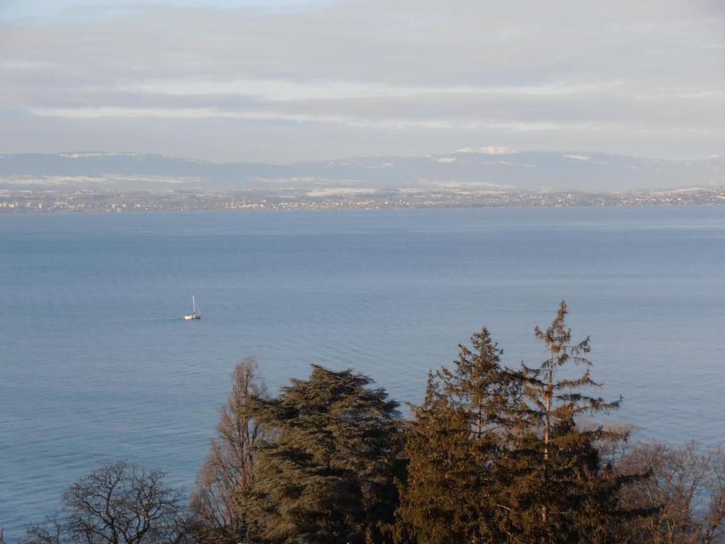 Hôtel Evian Express - Terminus Cameră foto